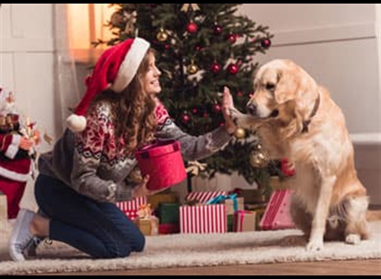 junior animal lovers junior animal lovers